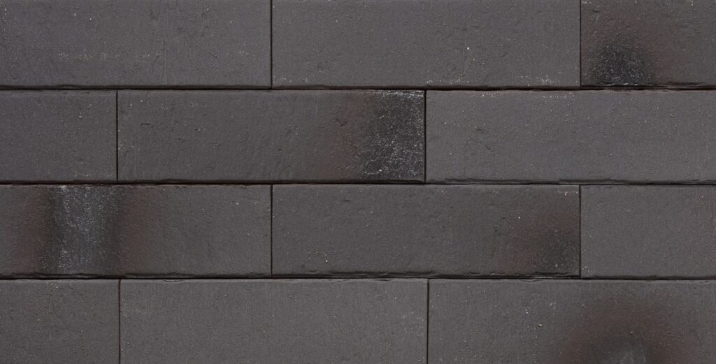 Pelaris Root Black